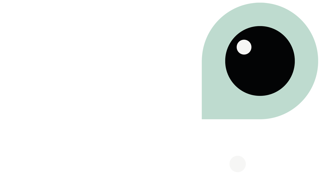 Lightray_logotyp_neg